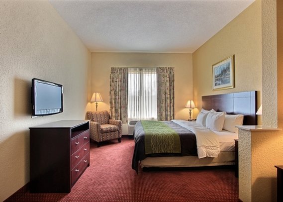 Comfort Inn - Blackshear, GA