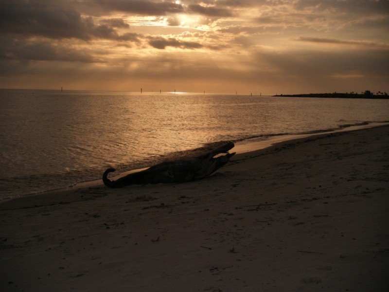 Holiday Inn Express & Suites BILOXI- OCEAN SPRINGS - Pearlington, MS