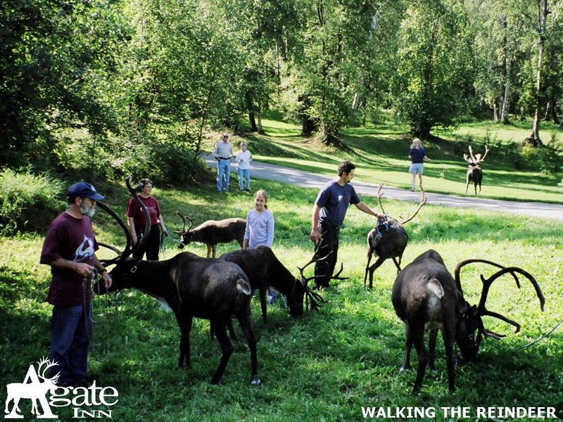 Agate Inn - Wasilla, AK