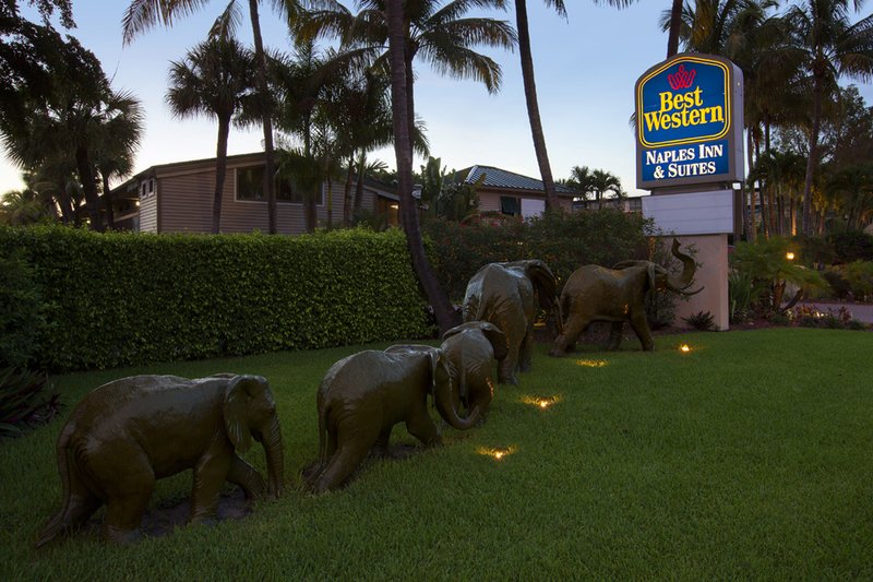 Best Western-Naples Inn - Naples, FL