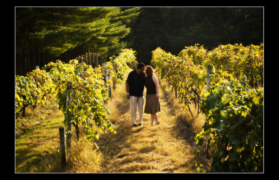 Renault Winery Tuscany Hotel First Class Egg Harbor City Nj Hotels Gds Reservation Codes Travel Weekly