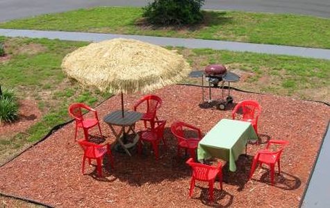 Vista Inn & Suites-Tampa - Tampa, FL