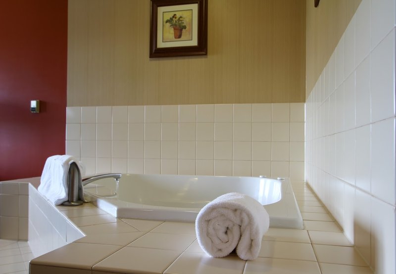 Hotel Mead & Conference Ctr - Wisconsin Rapids, WI