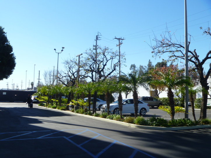 Holiday Inn Express VAN NUYS - Van Nuys, CA