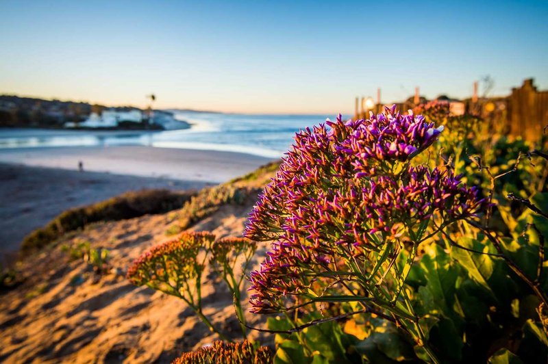 Hilton San Diego/Del Mar - Del Mar, CA