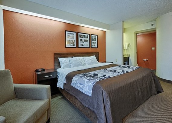 Sleep Inn - Dewitt, MI