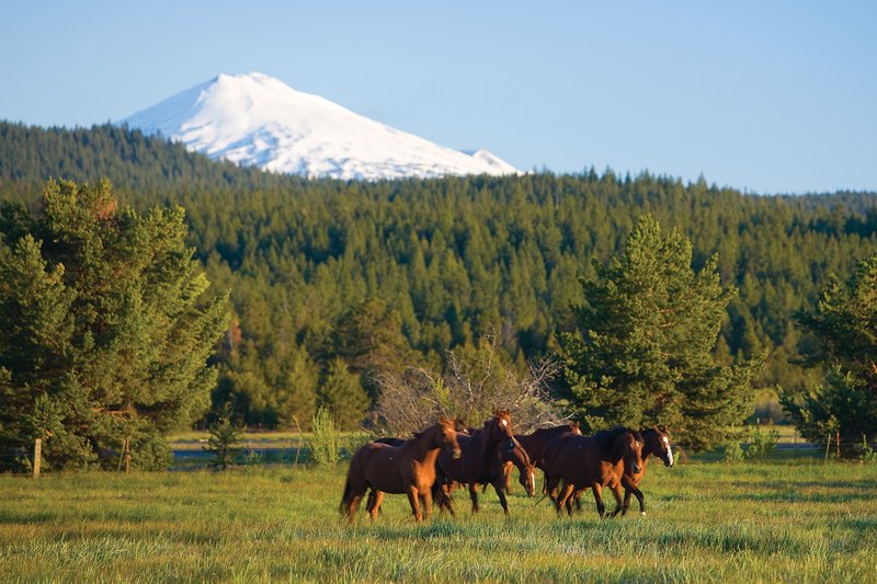 Sunriver Resort - Bend, OR