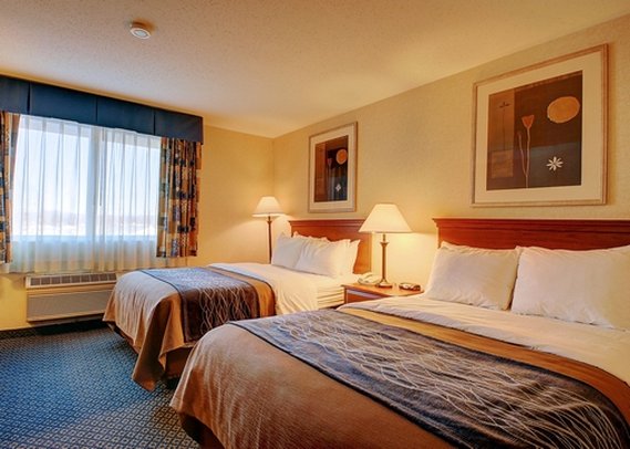 Comfort Inn - Hadley, MA
