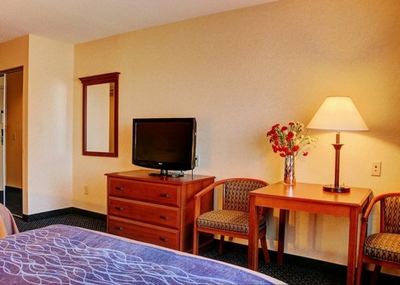 Comfort Inn - Hadley, MA