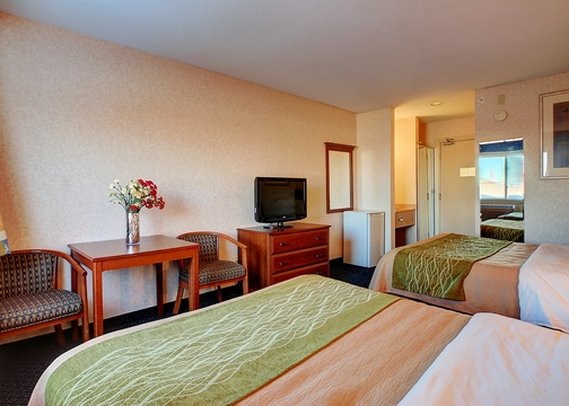 Comfort Inn - Hadley, MA