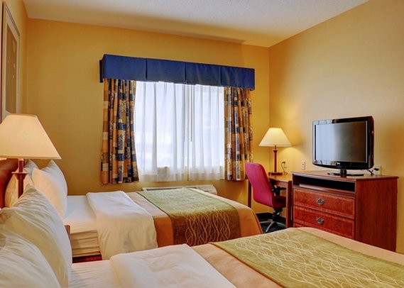 Comfort Inn - Hadley, MA