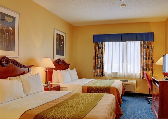 Comfort Inn - Hadley, MA