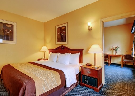 Comfort Inn - Hadley, MA