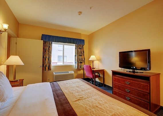 Comfort Inn - Hadley, MA
