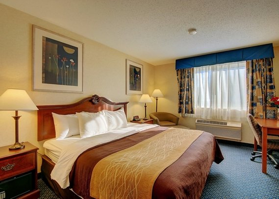 Comfort Inn - Hadley, MA
