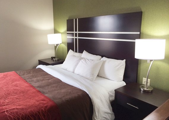 Comfort Inn & Suites Maumee - Toledo (I80-90) - Maumee, OH