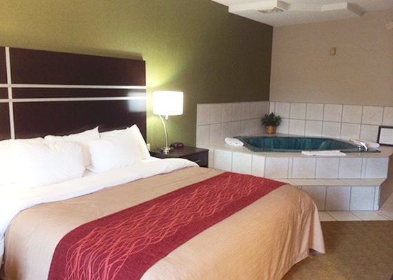 Comfort Inn & Suites Maumee - Toledo (I80-90) - Maumee, OH