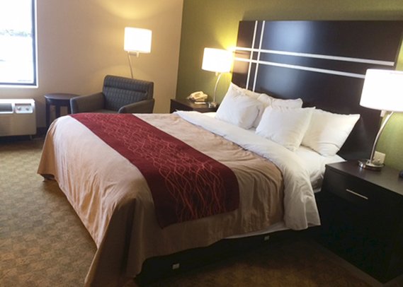Comfort Inn & Suites Maumee - Toledo (I80-90) - Maumee, OH
