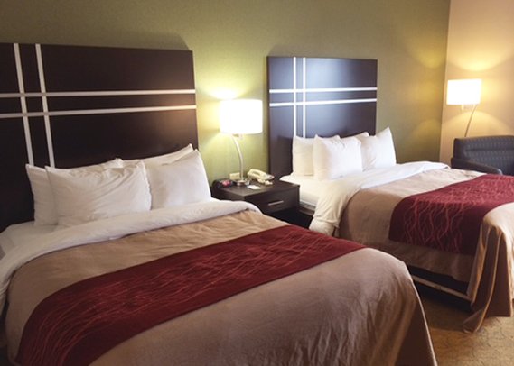 Comfort Inn & Suites Maumee - Toledo (I80-90) - Maumee, OH