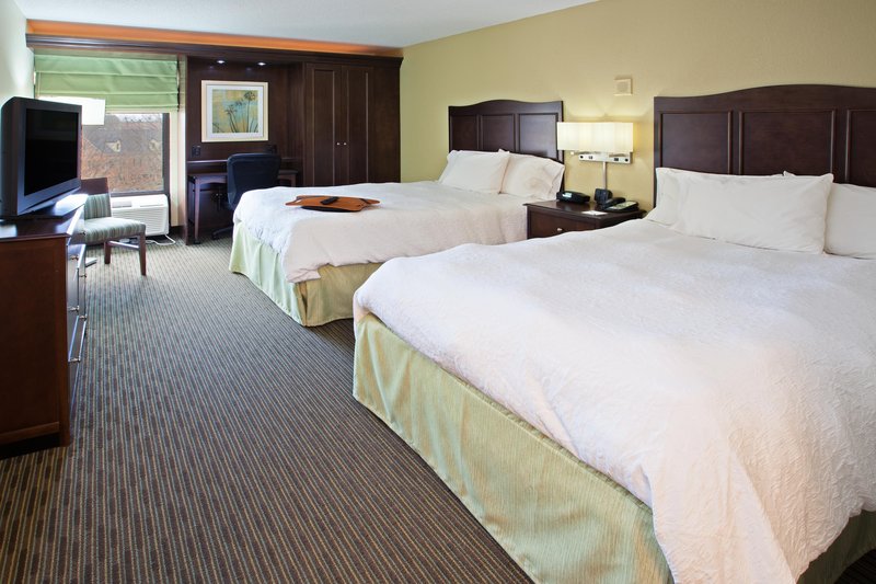 Hampton Inn Knoxville-Airport - Alcoa, TN