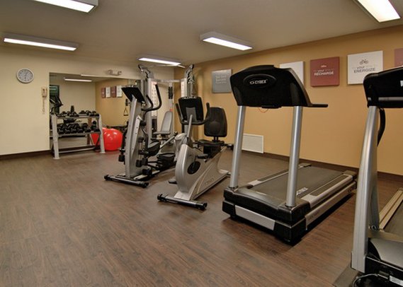 Comfort Suites - Hayward, WI