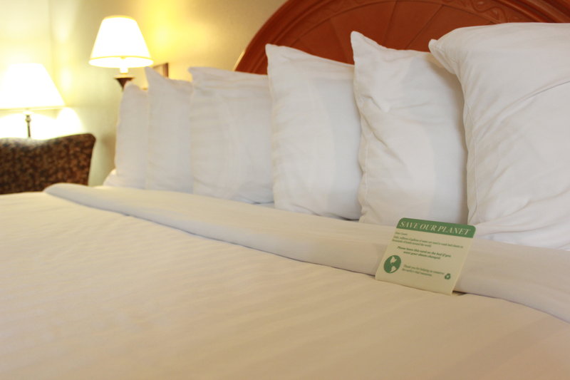 Best Western-Kelly Inn - Minot, ND