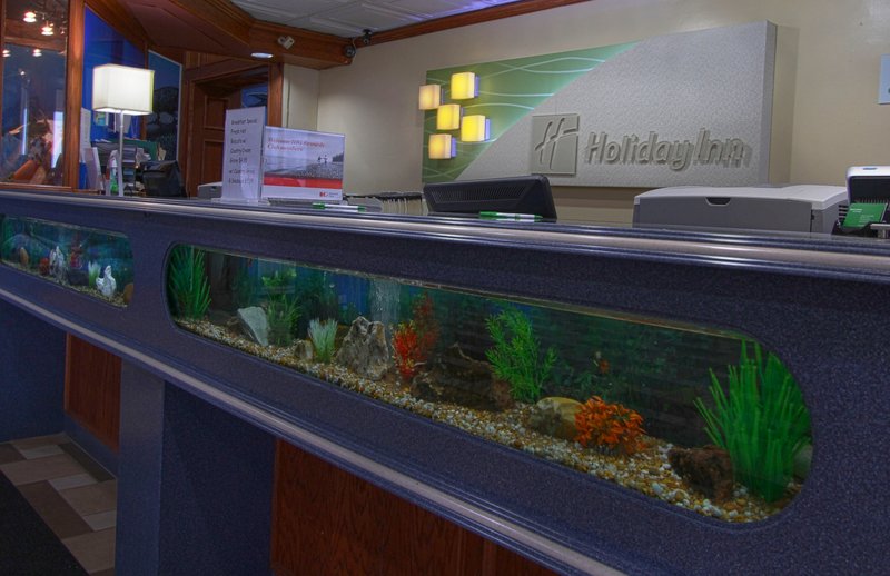 Holiday Inn Express & Suites CORPUS CHRISTI-N PADRE ISLAND - Corpus Christi, TX