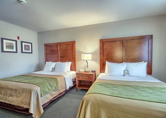 Comfort Inn - Bluffton, OH