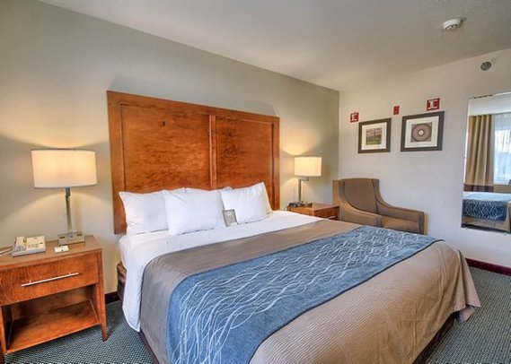 Comfort Inn - Bluffton, OH