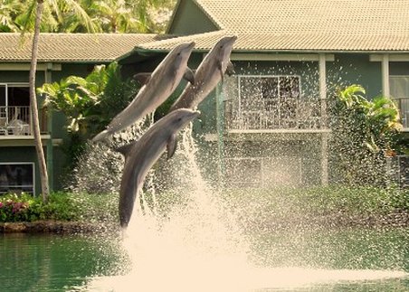 The Kahala Hotel & Resort - Honolulu, HI