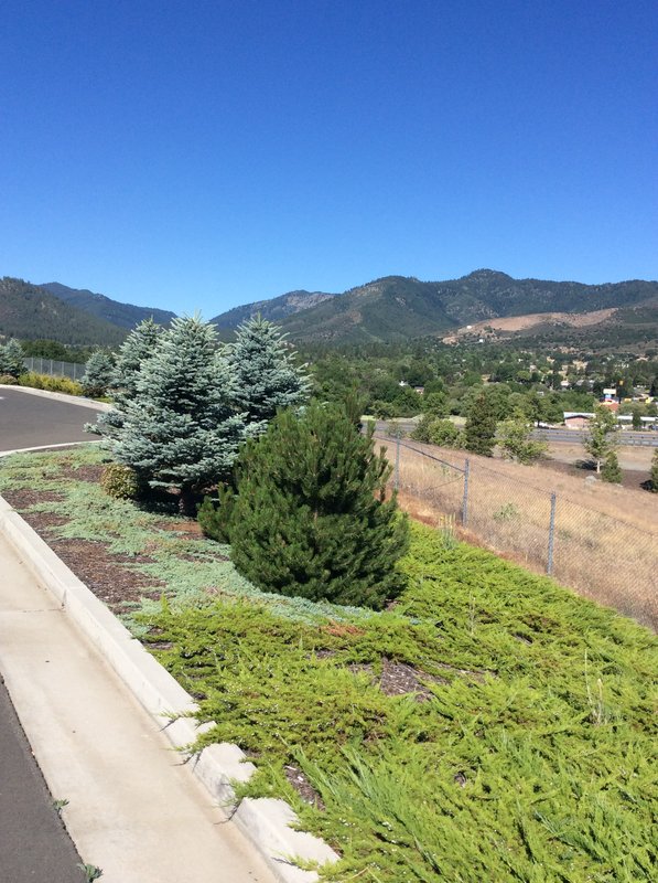 Holiday Inn Express YREKA-SHASTA AREA - Shasta Lake, CA