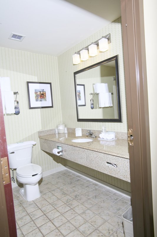 Holiday Inn Express & Suites ROSEVILLE - Harper Woods, MI