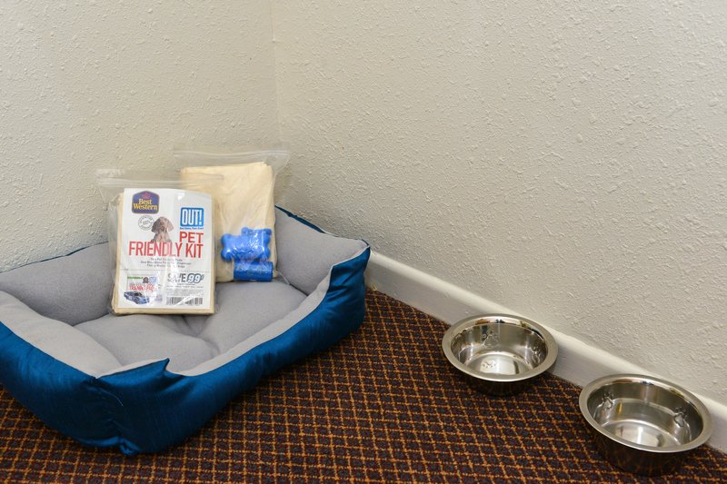 Best Western - Pecos, TX