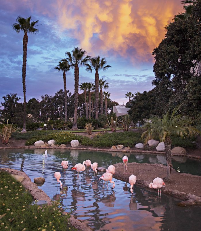 Marriott-Coronado Island - Coronado, CA