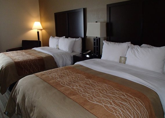 Comfort Inn - Suwanee, GA