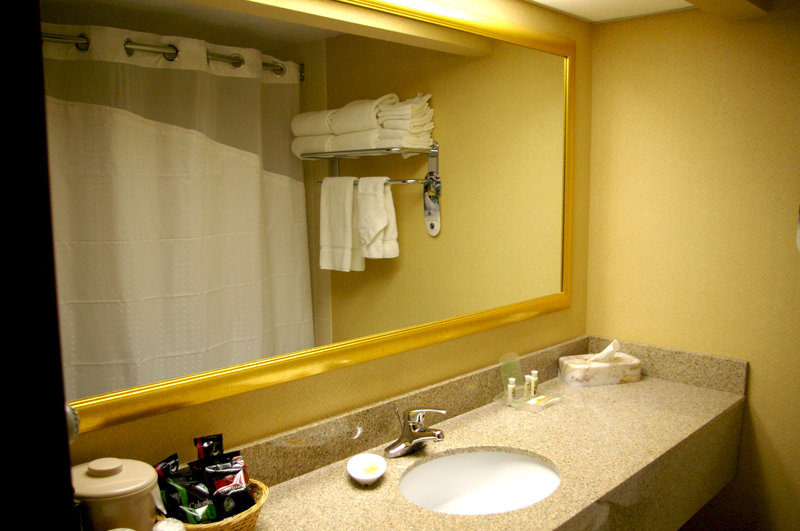 Holiday Inn AUSTIN CONFERENCE CENTER - Austin, MN