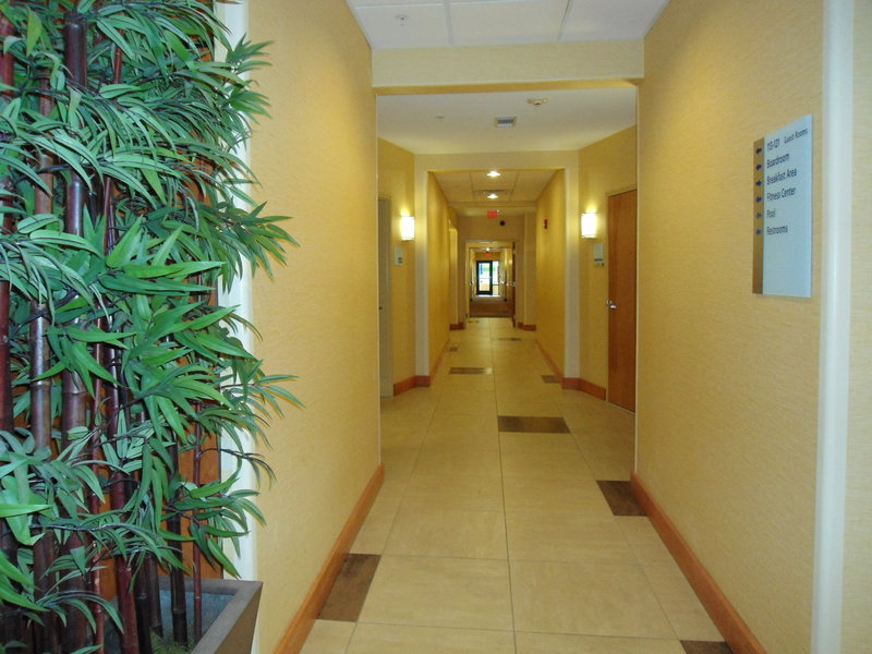 Holiday Inn Express & Suites ATLANTA EAST - LITHONIA - Dunwoody, GA