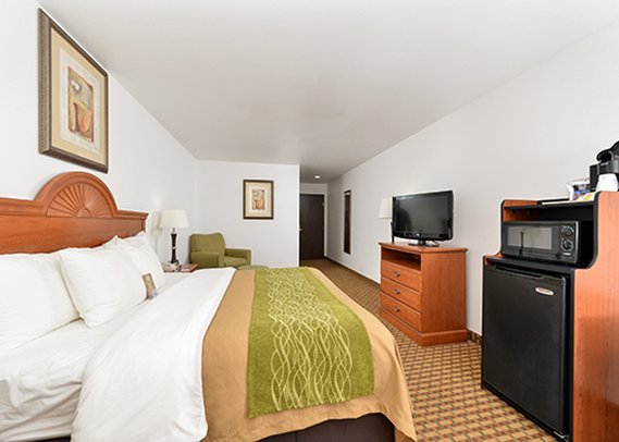 Comfort Inn - Willow Springs, MO