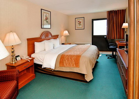 Comfort Inn - Binghamton, NY