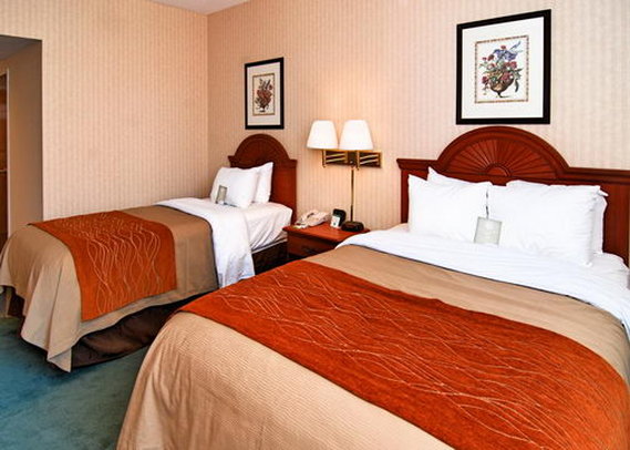 Comfort Inn - Binghamton, NY