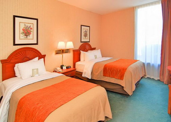 Comfort Inn - Binghamton, NY