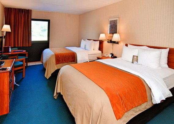 Comfort Inn - Binghamton, NY