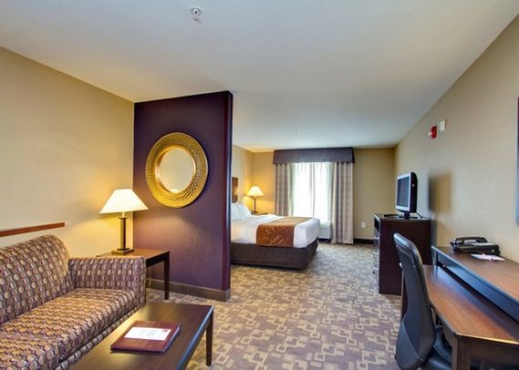 Comfort Suites - Whitsett, NC