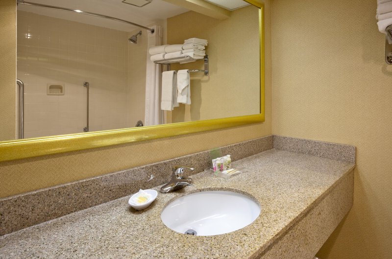 Holiday Inn AUSTIN CONFERENCE CENTER - Austin, MN