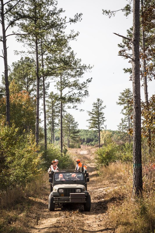 Barnsley Resort - Adairsville, GA