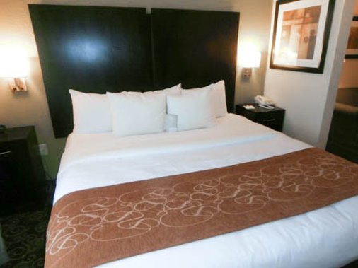 Comfort Suites - Brownsburg, IN
