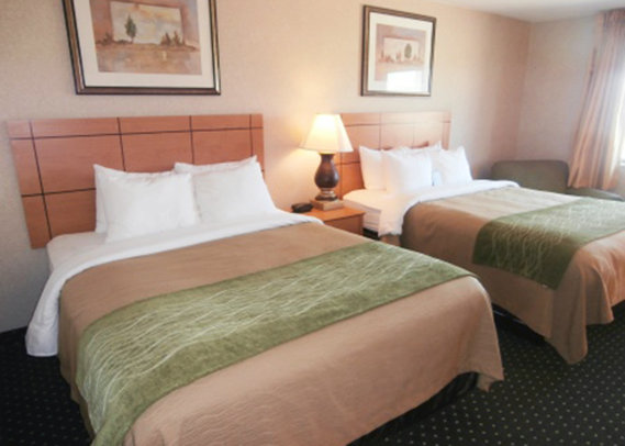 Comfort Inn - Kokomo, IN