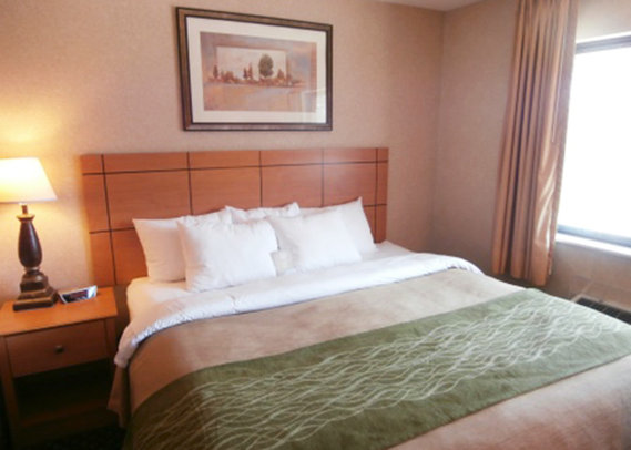 Comfort Inn - Kokomo, IN