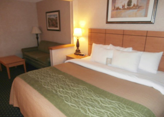 Comfort Inn - Kokomo, IN