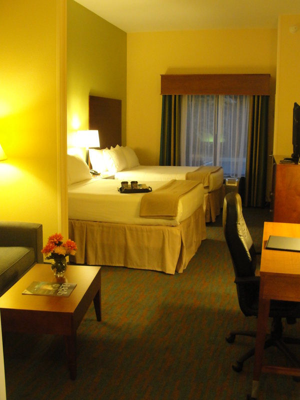 Holiday Inn Express & Suites ATLANTA EAST - LITHONIA - Dunwoody, GA